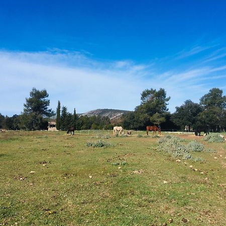 Centre Mediation Equine La Daouste Villa Jouques Luaran gambar