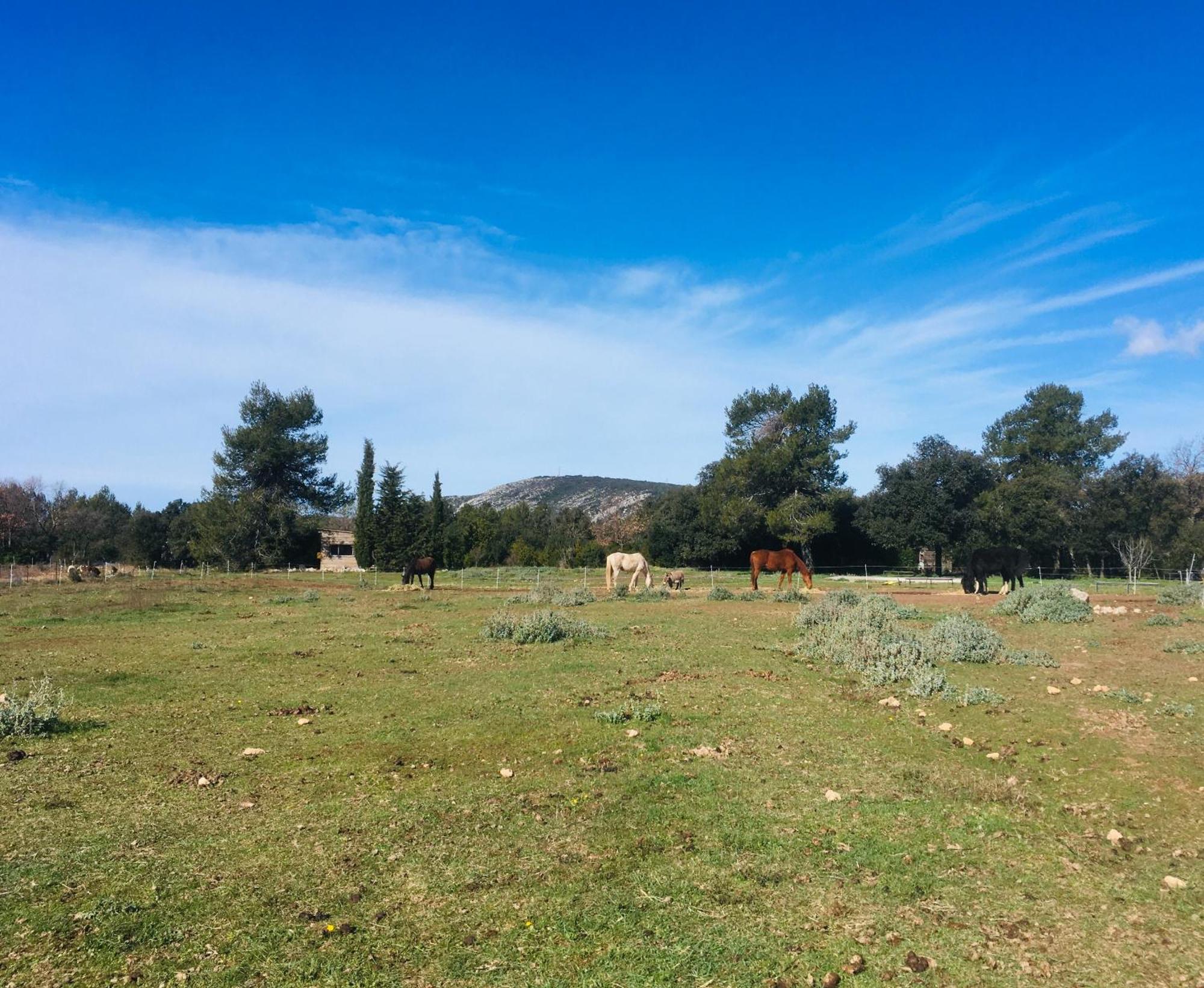 Centre Mediation Equine La Daouste Villa Jouques Luaran gambar